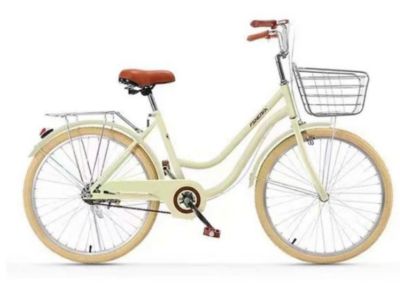 Xe đạp Nữ FSHENIX 2 khung