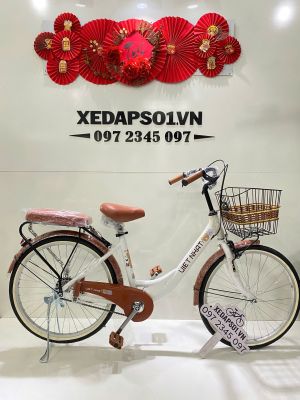 Xe đạp nữ Việt Nhật MS01